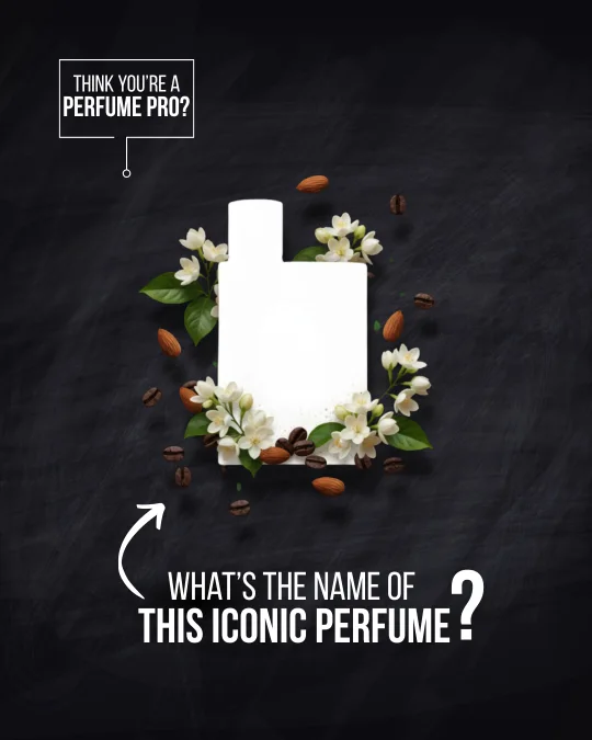 Euge september 2025 (9)